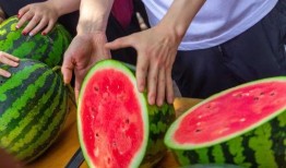 云南高校吃瓜网视频,揭秘校园美食风云录