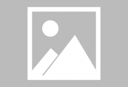 黄蜜瓜种子可以吃吗视频,揭秘可食用之谜