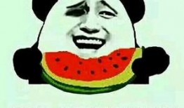 心疼吃瓜群众的视频,揭秘视频背后的感人故事