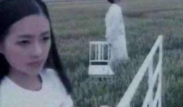 陈牧驰吃瓜事件真相视频,揭秘真相背后的惊人内幕