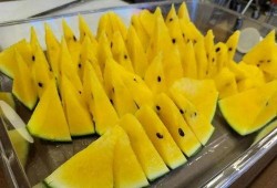 人吃瓜的真实情况视频大全,趣味视频大盘点