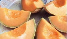 吃哈密瓜的小蘑菇视频大全,哈密瓜小蘑菇趣味视频大盘点