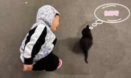 人类幼崽吃瓜的视频,萌态百出，萌化人心