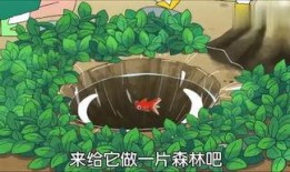 吃哈密瓜的小视频,短视频带你领略瓜果飘香