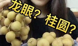 海伦司吃瓜视频链接,一场视觉盛宴的狂欢