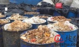 养殖场吃瓜视频,吃瓜视频揭秘农场日常