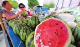 卖西瓜吃瓜视频大全播放,热门吃瓜视频大盘点，笑料横生，欢乐无限