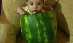 双手插兜吃瓜视频大全,热门视频大全盘点