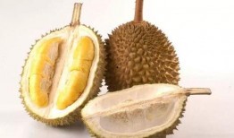 美国人安心吃瓜视频下载,揭秘美国民众安心吃瓜背后的视频下载秘密