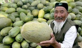 吃哈密瓜的小伙视频大全,小伙视频大全带你领略甜蜜瞬间