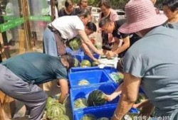 邳州小营事件吃瓜视频,吃瓜群众视角下的真相揭秘