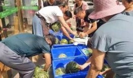 邳州小营事件吃瓜视频,吃瓜群众视角下的真相揭秘