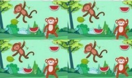 小猴吃瓜幼儿故事视频,趣味盎然的幼儿成长故事