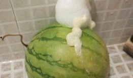 泡泡吃瓜视频名称