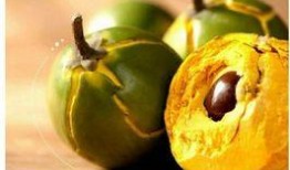 泡泡黄钰杰吃瓜视频资源,吃瓜视频背后的故事与真相