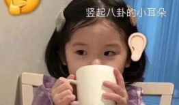 带你吃瓜搞笑p图视频,搞笑P图视频集锦