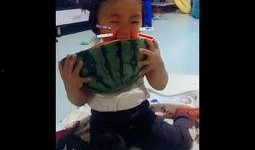 带你吃瓜动画搞笑视频,搞笑动画视频大放送