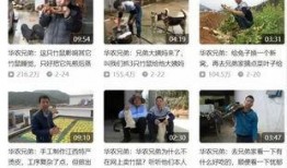 今日头条广州吃瓜视频最新,今日头条吃瓜视频带你尝鲜