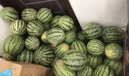 世茂滨江吃瓜视频,揭秘网红小区的幕后故事