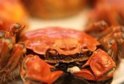 吃瓜哥卖螃蟹视频