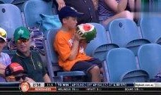 快乐吃瓜奇葩解说全集视频,全集视频精华盘点