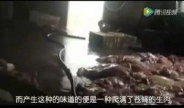 偷拍神兽吃瓜视频网站,网络奇观背后的真相与争议