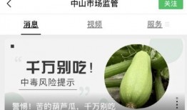 吃葫芦瓜丝的视频