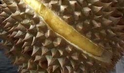 脆瓜要吃籽吗怎么吃的视频,美味脆瓜的完美食用指南