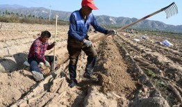 河北黄河滩吃瓜事件视频