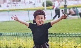 带你吃瓜的视频风格,带你揭秘娱乐圈那些鲜为人知的“吃瓜”瞬间