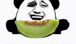 吃瓜群众不看视频,吃瓜群众视角下的幕后真相