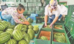 潍坊最近吃瓜事件视频,一场网络热议背后的真相揭秘