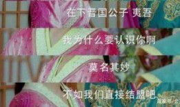 老k画梅吃瓜原视频,一场别开生面的艺术与美食盛宴