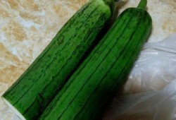 喷瓜可以做菜吃吗视频讲解,揭秘喷瓜的烹饪魅力