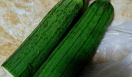 喷瓜可以做菜吃吗视频讲解,揭秘喷瓜的烹饪魅力