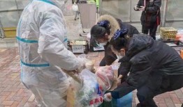 疫情严重吃瓜视频,揭秘网络视频的另类现象