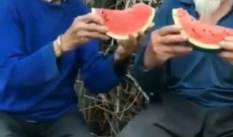 农村老太闲聊吃瓜视频大全,揭秘乡村生活趣味瞬间
