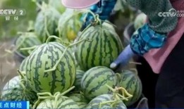 贵州道教吃瓜视频大全集