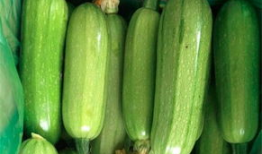 吃西葫芦瓜的配音视频大全,趣味横生的美食演绎