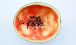 吃瓜网红小勺子视频,揭秘娱乐圈幕后故事