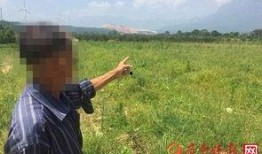 青海大爷吃瓜视频播放,揭秘瓜农生活日常