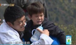 爸爸给儿子吃开心瓜视频,温馨瞬间感动网友