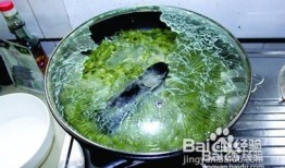 锅盖吃小绿瓜视频,小绿瓜的奇幻之旅