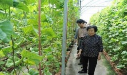 嘉兴被爆吃瓜视频曝光是真的吗,嘉兴吃瓜视频曝光真相揭晓