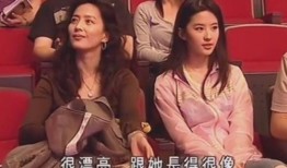 刘亦菲妈妈吃瓜视频,吃瓜视频引发网友热议