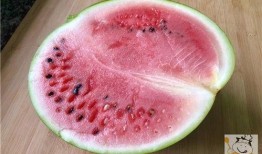 吃瓜视频大全吐彩虹,彩虹斑斓的娱乐盛宴