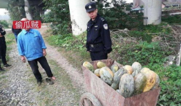 牟平路边吃瓜事件视频曝光,视频曝光揭示惊人一幕