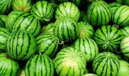 呼职吃瓜视频,揭秘校园热点事件背后的真相