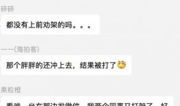 看视频的吃瓜群众叫什么,揭秘看视频背后的趣味与热议