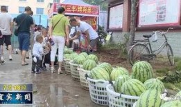 柳南体育园事件吃瓜视频,揭秘吃瓜视频背后的真相